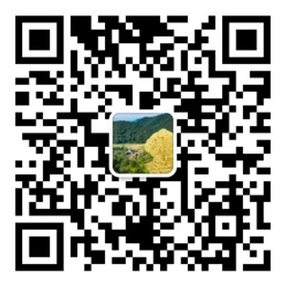 500彩票下载